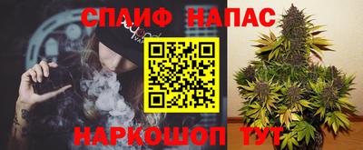 хмурый Обь