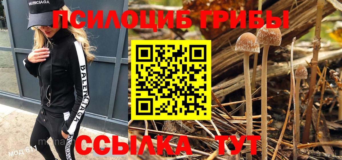 Скопин  Псилоцибиновые грибы Psilocybine cubensis  цены   Галлюциногенные грибы Psilocybine cubensis  Вход с VPN 