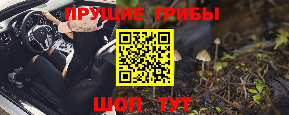 Галлюциногенные грибы Cubensis Скопин