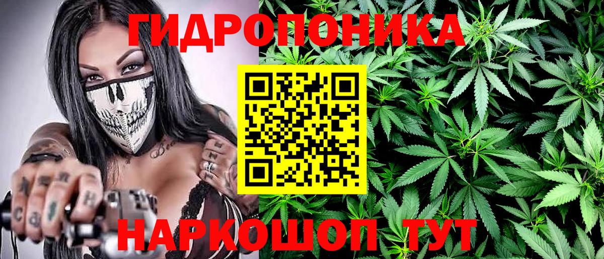 Бошки Шишки сатива Скопин